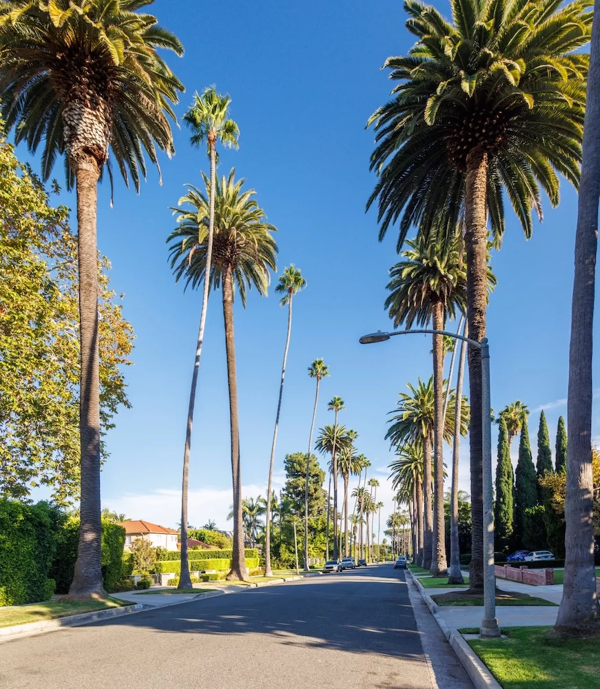 los angeles home builders